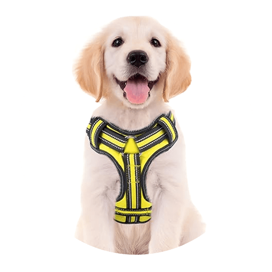 bolux dog harness