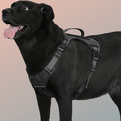 Bolux Tactical Dog Harness for Large Dogs,No Pull Adjustable Pet Dog Harness，Reflective K9 Working Training Easy Control Pet Vest Military Service Dog Harnesses (Black, Medium (Pack of 1))
