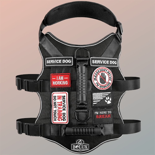Bolux Tactical Dog Harness with 7 Pcs Tags, Service Dog in Training Harness with Easy Control Double Handles, Dog Working Harness K9 Military Service Dog Vest Harnesses for Small Medium Large Dogs
